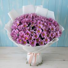 Букет цветов из:  Хризантемы в Белиджи