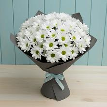 Букет цветов из:  Хризантемы в Белиджи