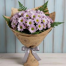 Букет цветов из:  Хризантемы в Белиджи