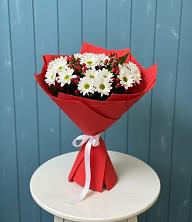 Букет цветов из:  Хризантемы в Белиджи