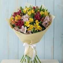 Букет цветов из:  Альстромерии в Белиджи