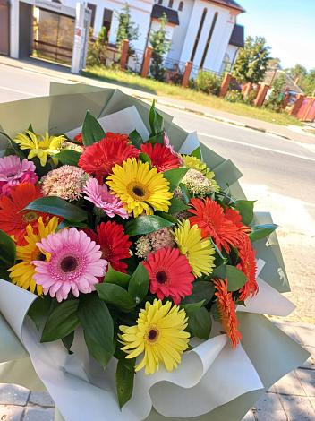 Букет цветов из: Герберы в Белиджи