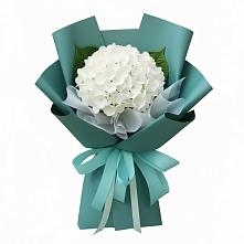 Букет цветов из:  Гортензия в Белиджи